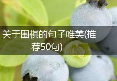 关于围棋的句子唯美(推荐50句)