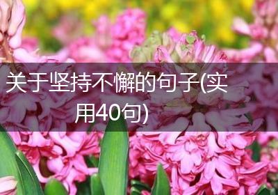 关于坚持不懈的句子(实用40句)