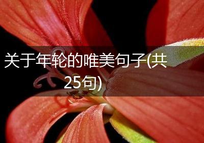 关于年轮的唯美句子(共25句)