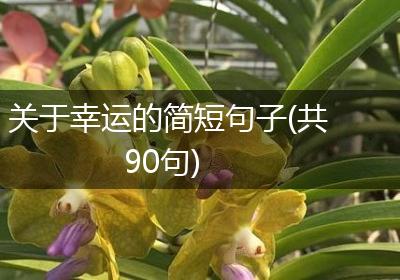 关于幸运的简短句子(共90句)