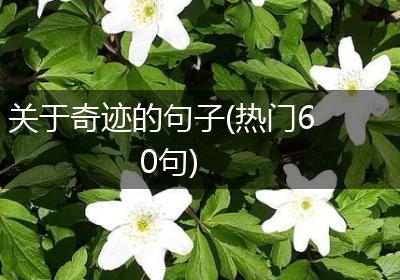 关于奇迹的句子(热门60句)