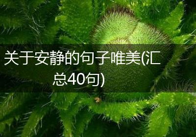 关于安静的句子唯美(汇总40句)