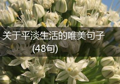 关于平淡生活的唯美句子(48句)