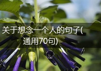 关于想念一个人的句子(通用70句)