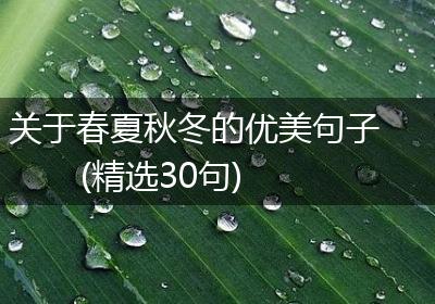 关于春夏秋冬的优美句子(精选30句)