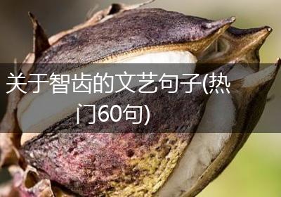关于智齿的文艺句子(热门60句)