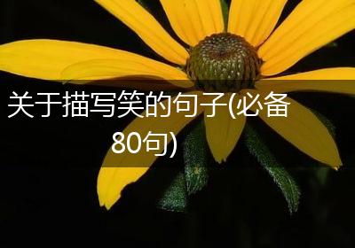 关于描写笑的句子(必备80句)