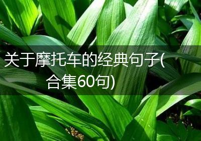 关于摩托车的经典句子(合集60句)