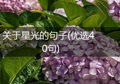 关于星光的句子(优选40句)