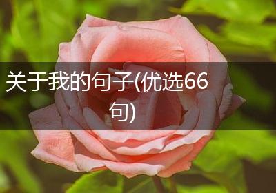 关于我的句子(优选66句)