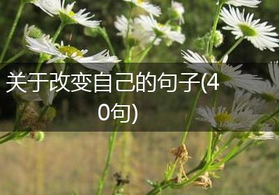 关于改变自己的句子(40句)