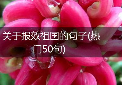 关于报效祖国的句子(热门50句)