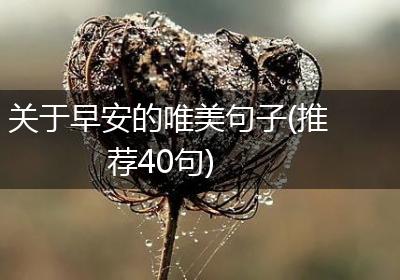关于早安的唯美句子(推荐40句)