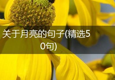 关于月亮的句子(精选50句)