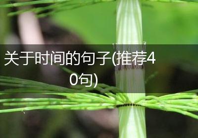 关于时间的句子(推荐40句)