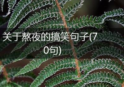 关于熬夜的搞笑句子(70句)
