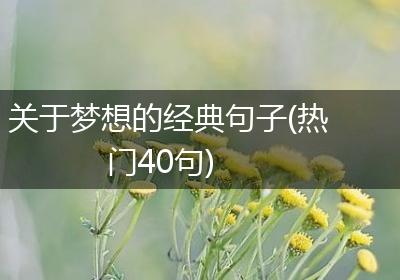 关于梦想的经典句子(热门40句)