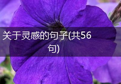 关于灵感的句子(共56句)
