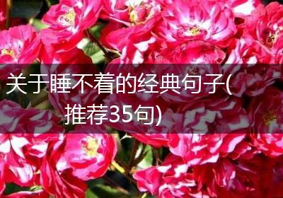关于睡不着的经典句子(推荐35句)
