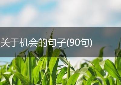 关于机会的句子(90句)