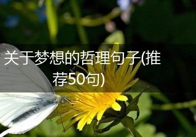 关于梦想的哲理句子(推荐50句)
