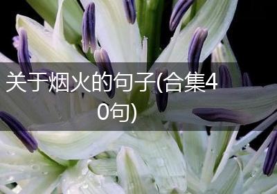 关于烟火的句子(合集40句)