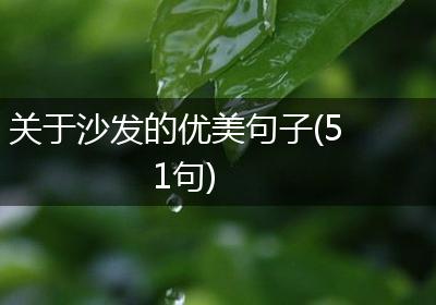关于沙发的优美句子(51句)