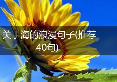 关于海的浪漫句子(推荐40句)