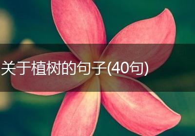 关于植树的句子(40句)
