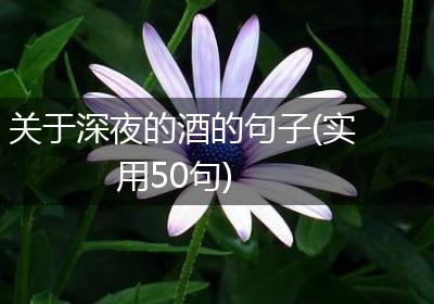关于深夜的酒的句子(实用50句)