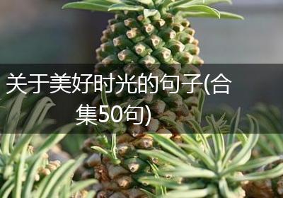 关于美好时光的句子(合集50句)