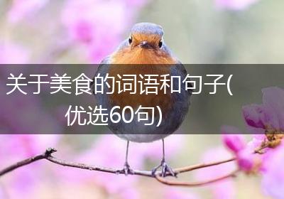 关于美食的词语和句子(优选60句)