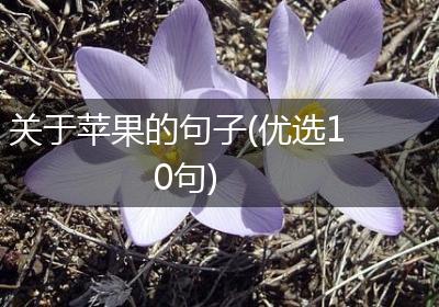 关于苹果的句子(优选10句)