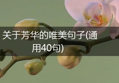 关于芳华的唯美句子(通用40句)