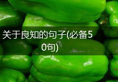 关于良知的句子(必备50句)