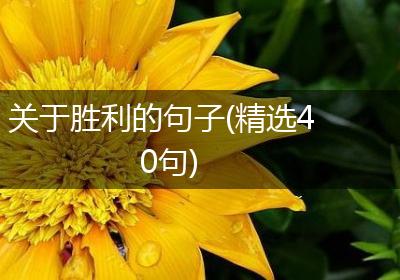 关于胜利的句子(精选40句)