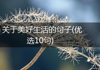 关于美好生活的句子(优选10句)