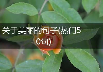关于美丽的句子(热门50句)