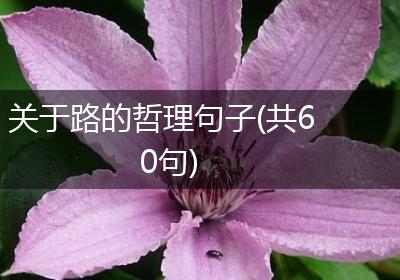 关于路的哲理句子(共60句)