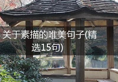 关于素描的唯美句子(精选15句)