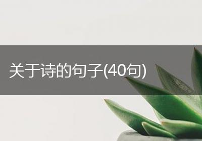 关于诗的句子(40句)