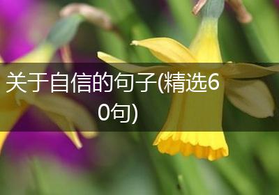 关于自信的句子(精选60句)