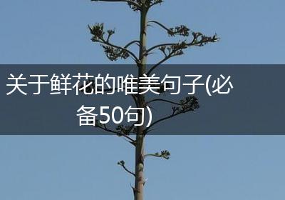 关于鲜花的唯美句子(必备50句)