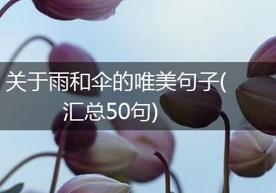 关于雨和伞的唯美句子(汇总50句)
