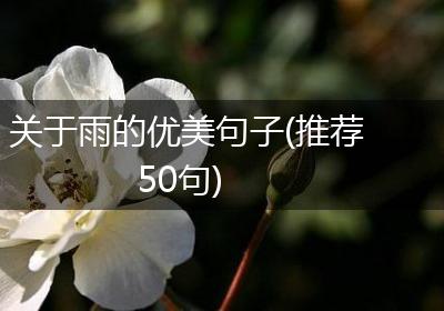 关于雨的优美句子(推荐50句)