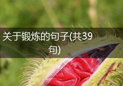 关于锻炼的句子(共39句)