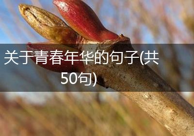 关于青春年华的句子(共50句)