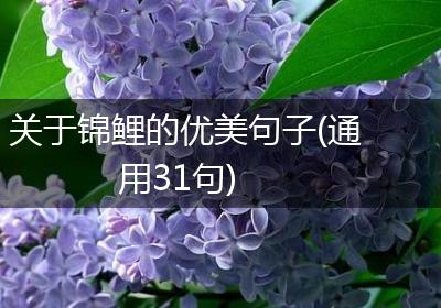 关于锦鲤的优美句子(通用31句)