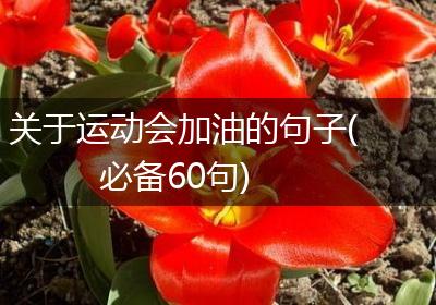 关于运动会加油的句子(必备60句)