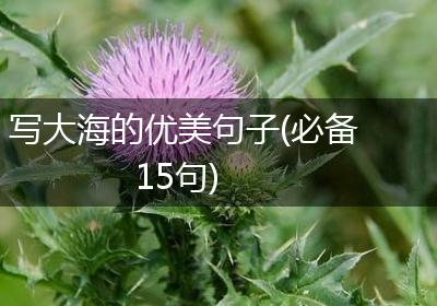 写大海的优美句子(必备15句)
